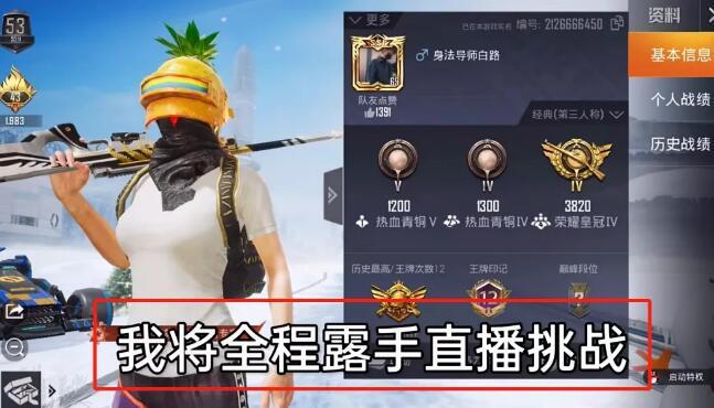 和平精英辅助软件的发展与影响分析